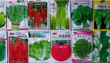 常见蔬菜种子发芽方法大全.jpg